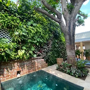 Casa Jaguar Boutique Cartagena